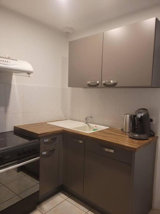 Appartement Sur La Place De Poncin Екстер'єр фото