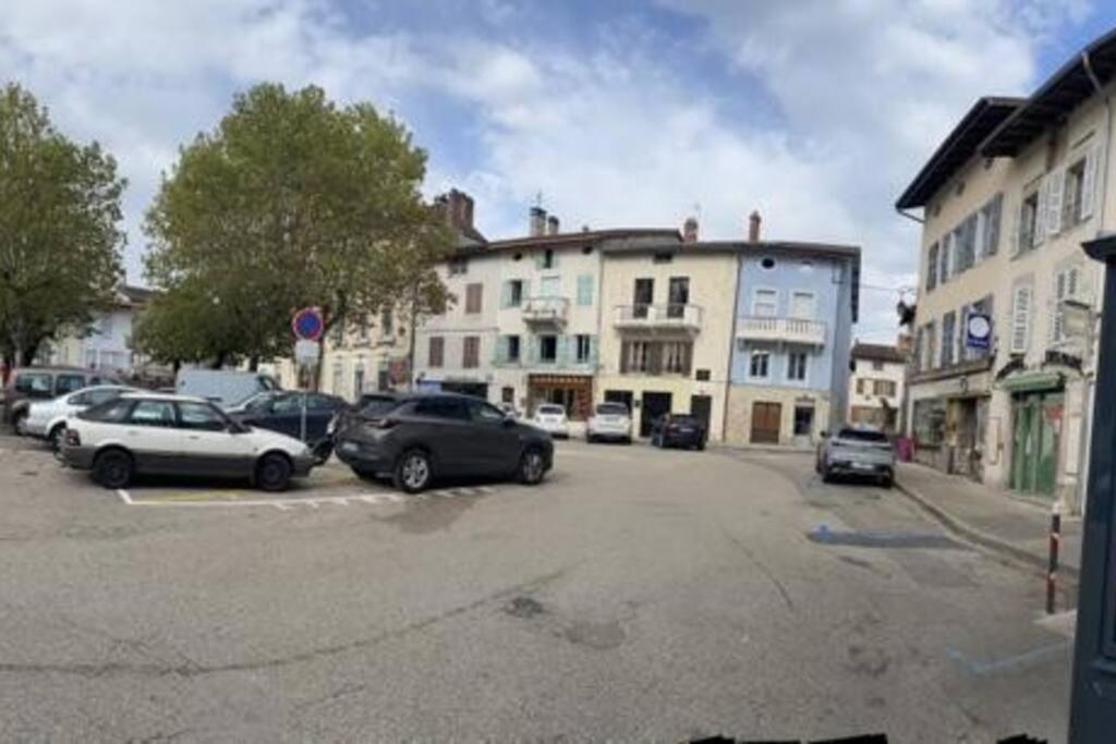 Appartement Sur La Place De Poncin Екстер'єр фото